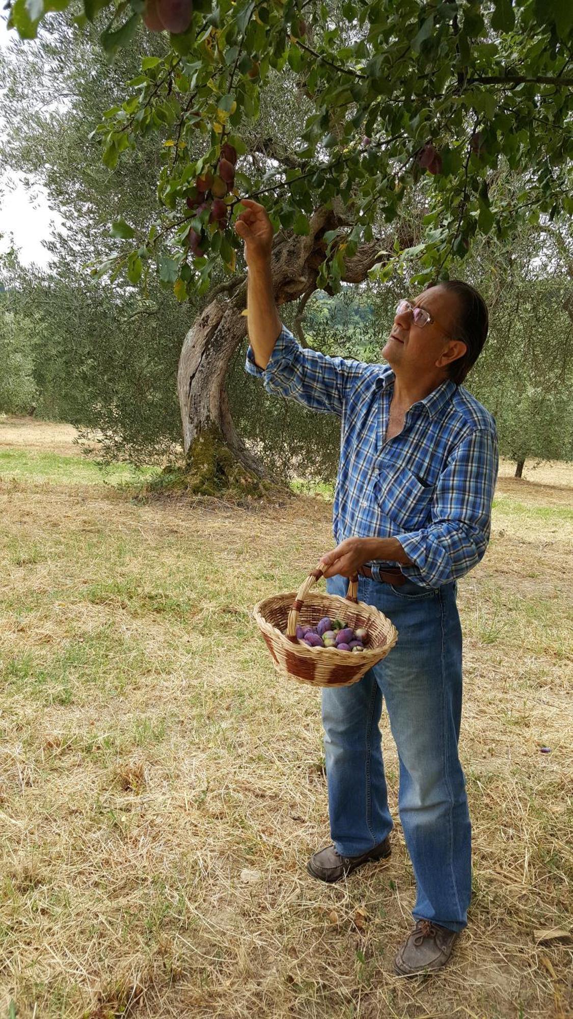 Montebello Degli Olivi 丘西 外观 照片