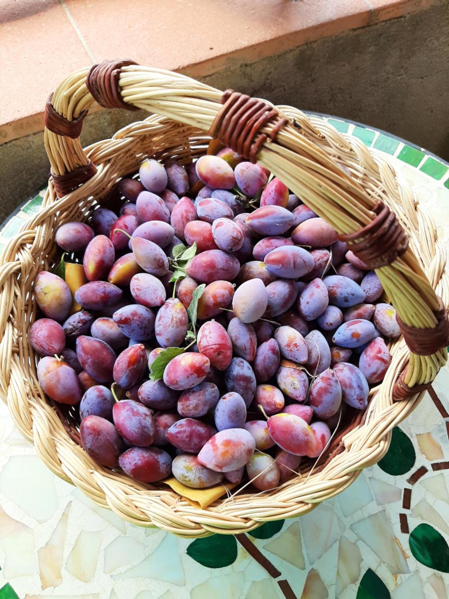 Montebello Degli Olivi 丘西 外观 照片