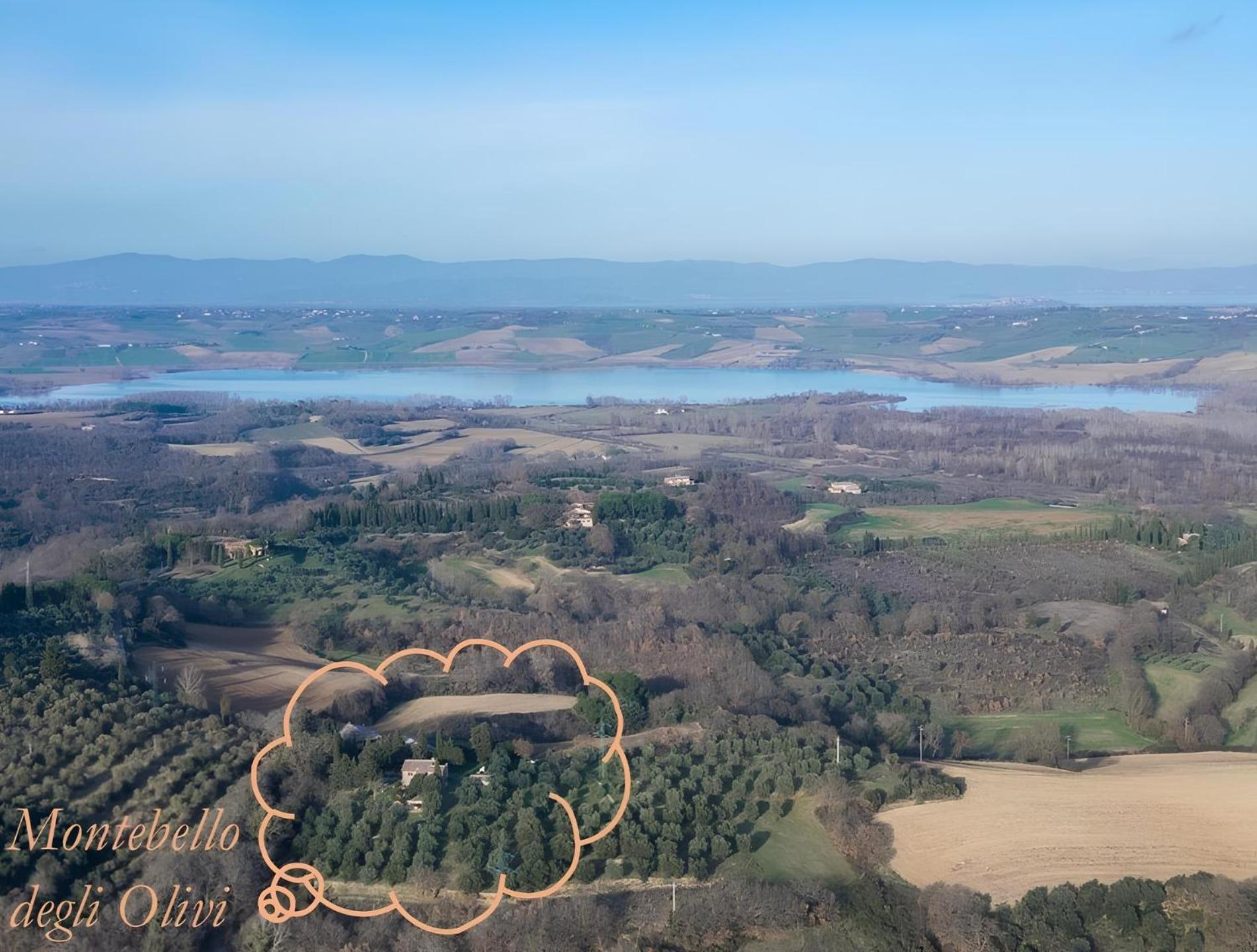 Montebello Degli Olivi 丘西 外观 照片